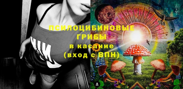 крисы Мегион