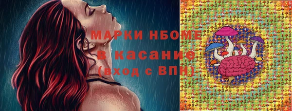 стаф Майский
