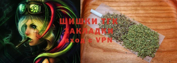 стаф Майский