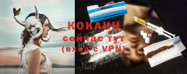 дурь Магас