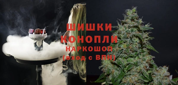 дурь Магас