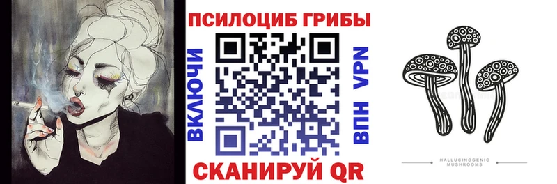 Галлюциногенные грибы GOLDEN TEACHER  Купить где  Кисловодск 